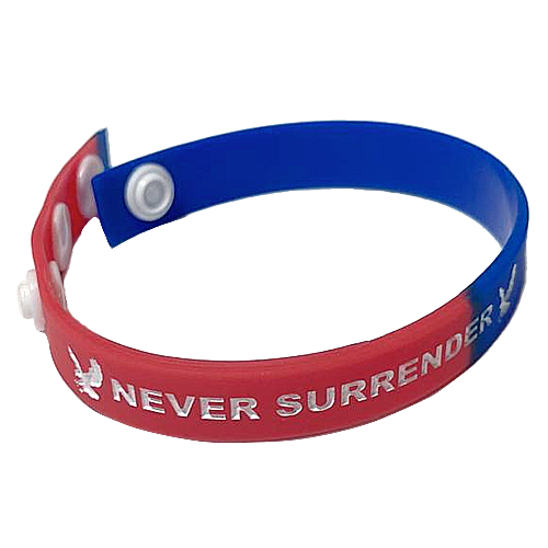 I Love My Freedom - Adjustable Never Surrender Wristband