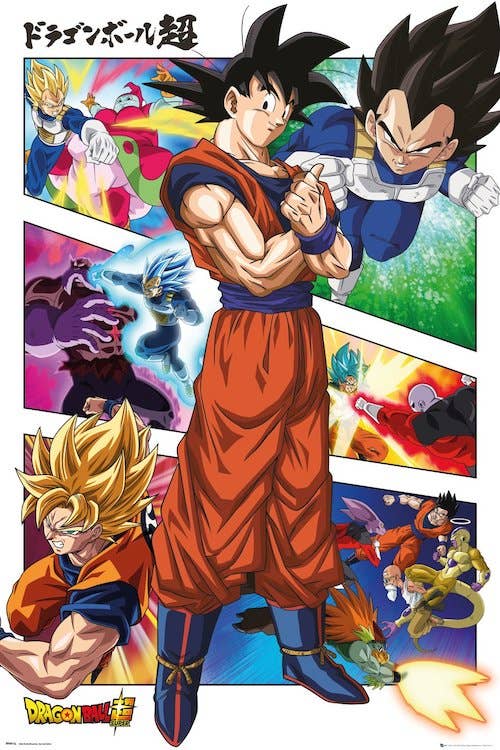 Posters Wholesale - Dragonball Z 24x36 Poster: Cardboard Backed & Clear Bag