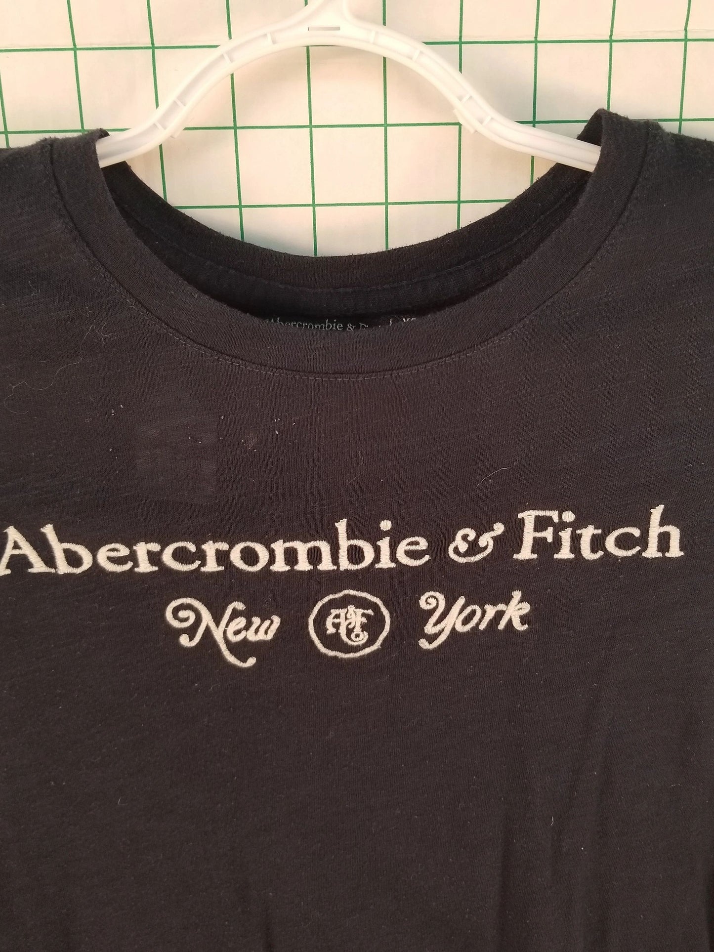 Abercrombie & Fitch Blue Graphic Tee XS
