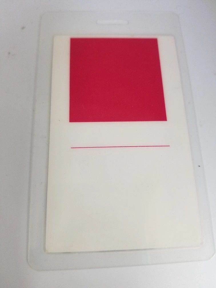 Prince "Nude" Backstage Pass