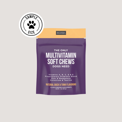 Natural Rapport - The Only Multivitamin Soft Chews Dogs Need: 120 count jar