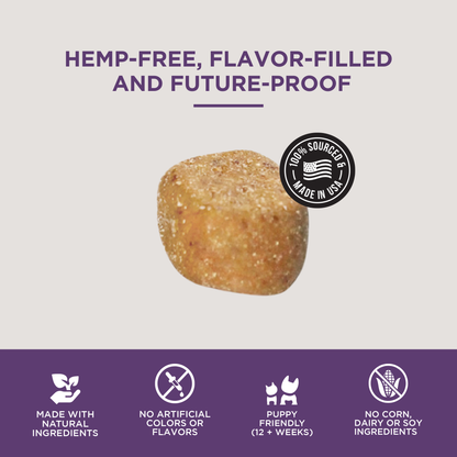 Natural Rapport - The Only Multivitamin Soft Chews Dogs Need: 120 count jar