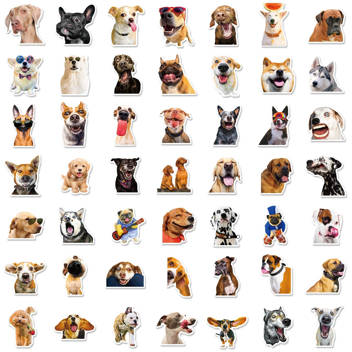 Realistic Dog Facial Expression Pack Stickers