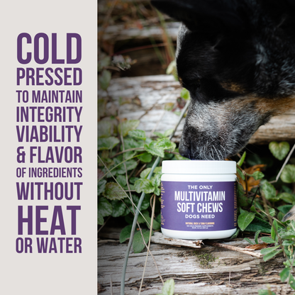 Natural Rapport - The Only Multivitamin Soft Chews Dogs Need: 120 count jar