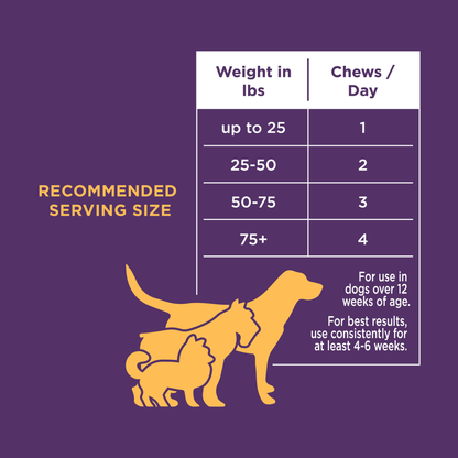 Natural Rapport - The Only Multivitamin Soft Chews Dogs Need: 120 count jar