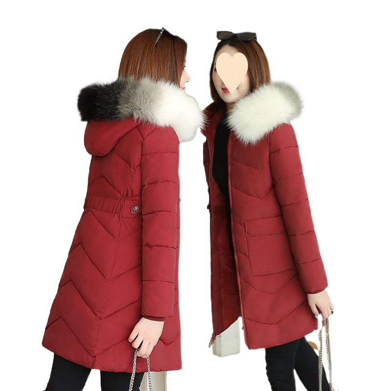 Windproof And Warm Large Fur Collar Thickened Versatile Cotton Jacket For Women