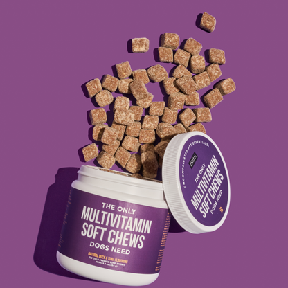 Natural Rapport - The Only Multivitamin Soft Chews Dogs Need: 120 count jar