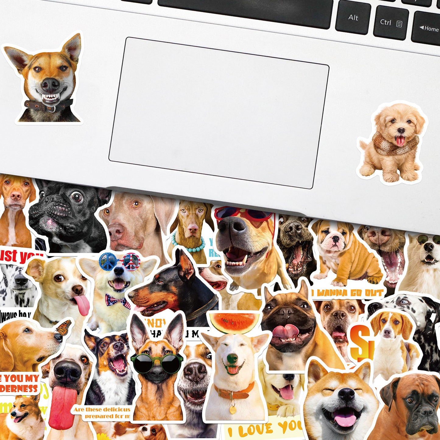 Realistic Dog Facial Expression Pack Stickers