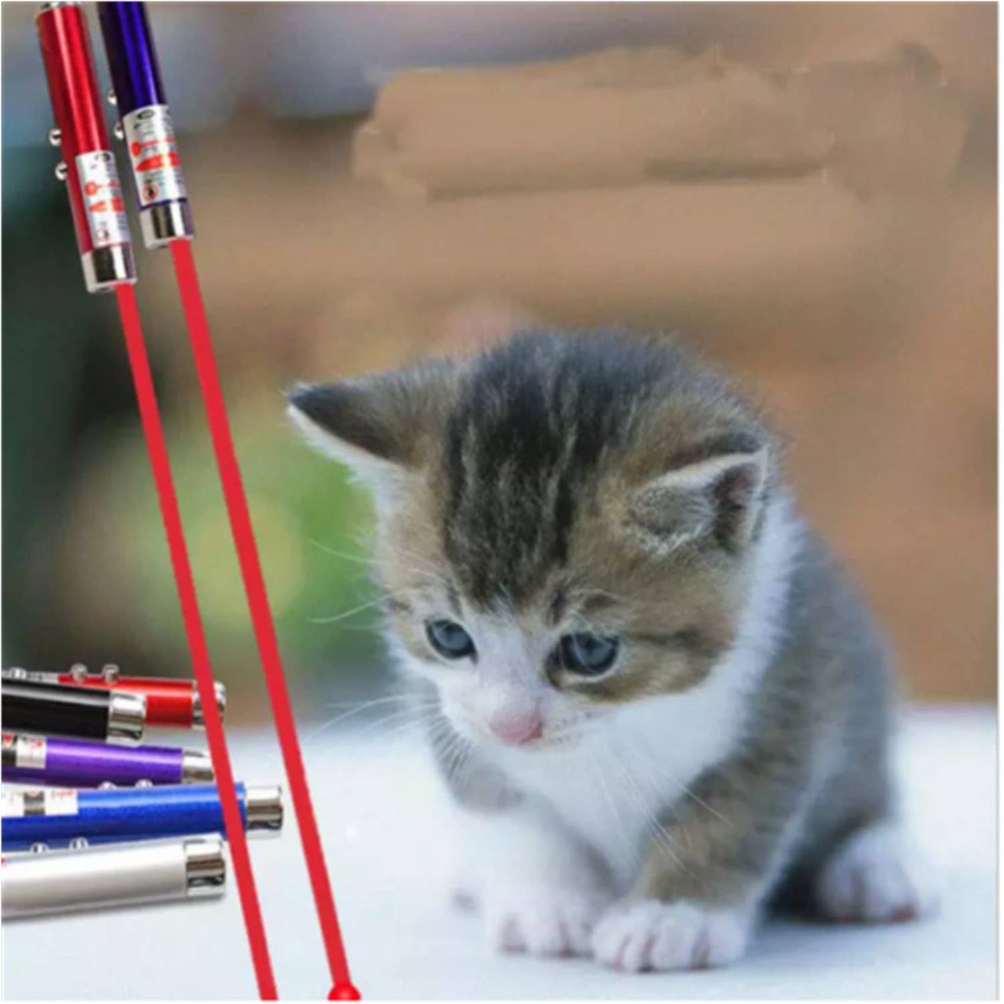 Tsyware - Assorted Laser Pointer Cat Toys for Indoor Pet Kitten Dogs