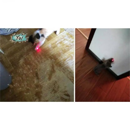 Tsyware - Assorted Laser Pointer Cat Toys for Indoor Pet Kitten Dogs