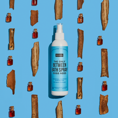 Natural Rapport - The Only Between Bath Spray Dogs Need - Amber & Sandalwood: 8 ounce