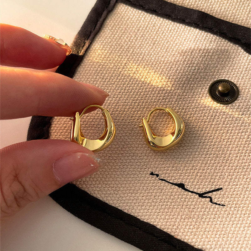 Irregular Geometric Glossy Metal Earrings