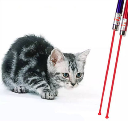 Tsyware - Assorted Laser Pointer Cat Toys for Indoor Pet Kitten Dogs