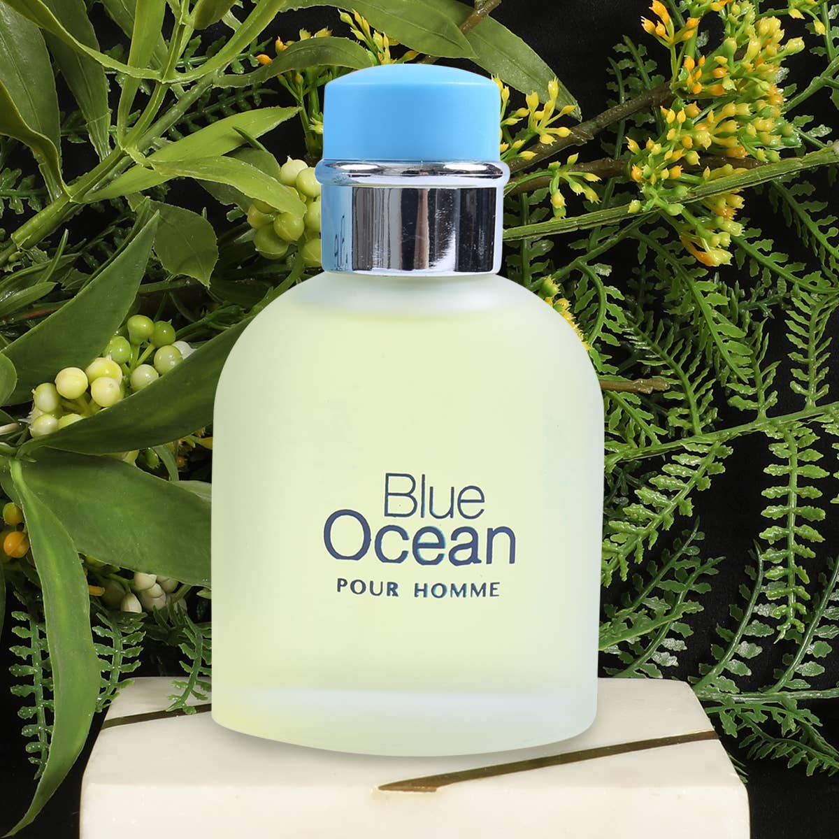 MYS Wholesale Inc - Blue Ocean Eau de Toilette Spray Cologne For Men