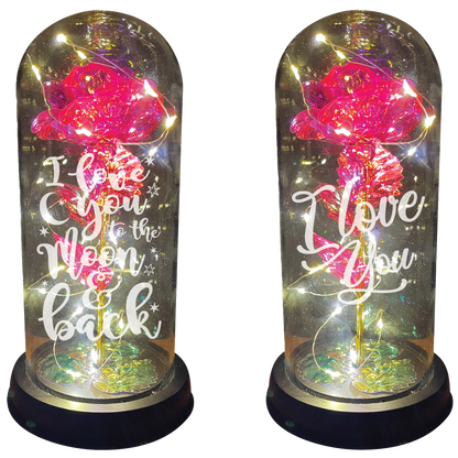 Novelty Closeout - Jumbo Light Up Rose Glass Dome Keepsake Assortment- 2/Pk