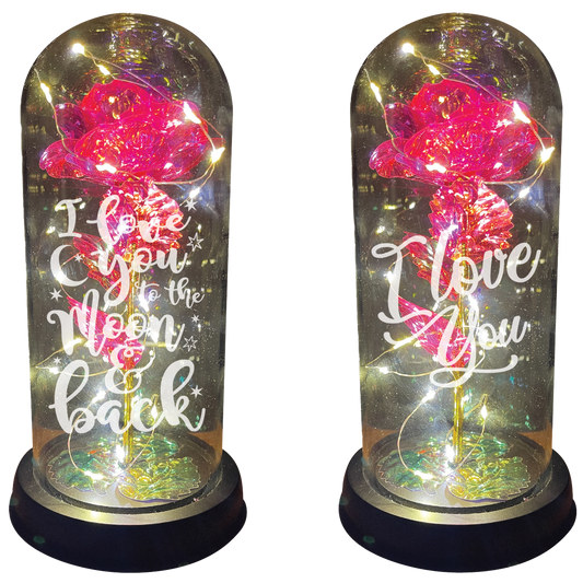 Novelty Closeout - Jumbo Light Up Rose Glass Dome Keepsake Assortment- 2/Pk
