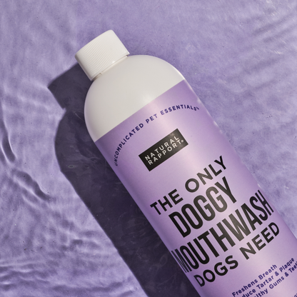 Natural Rapport - The Only Doggy Mouthwash Dogs Need: 16 ounce