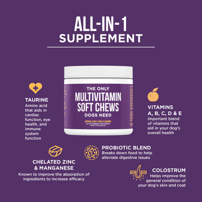 Natural Rapport - The Only Multivitamin Soft Chews Dogs Need: 120 count jar