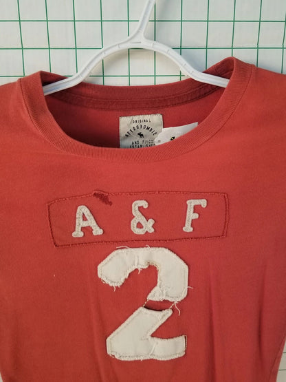 Abercrombie and Fitch Embroidered Tee Sm