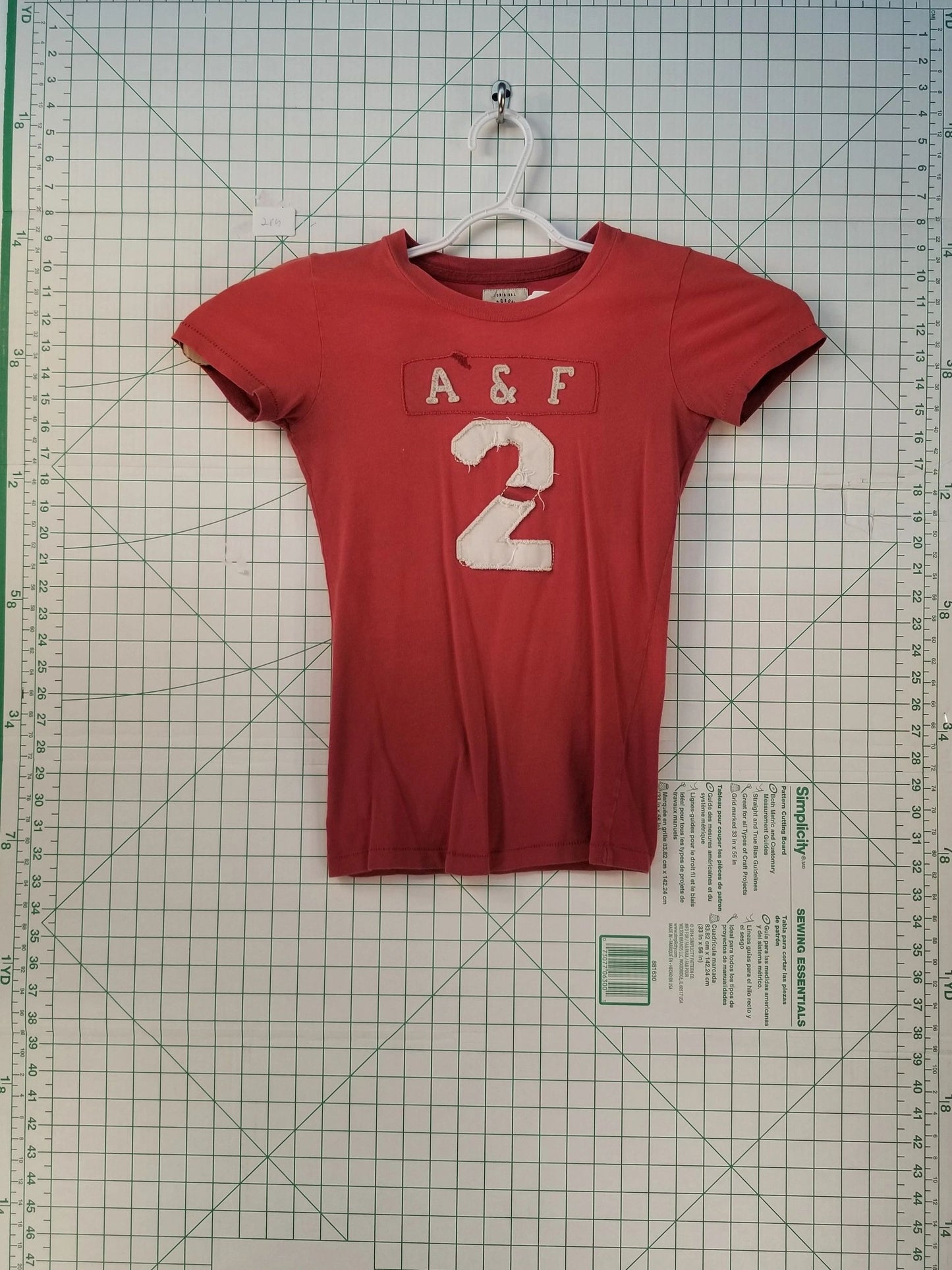 Abercrombie and Fitch Embroidered Tee Sm