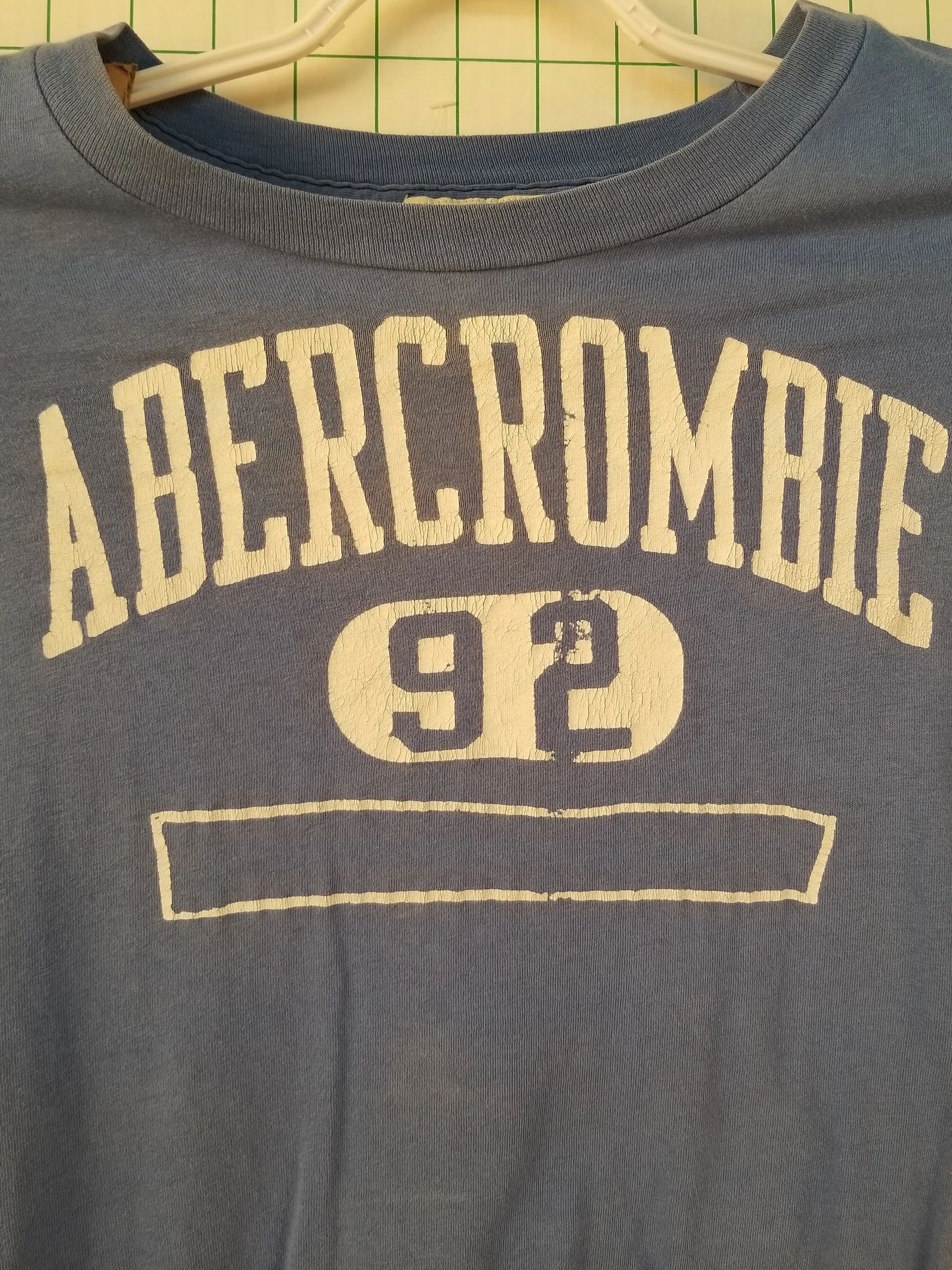 Abercrombie & Fitch Blue Graphic Tee XS