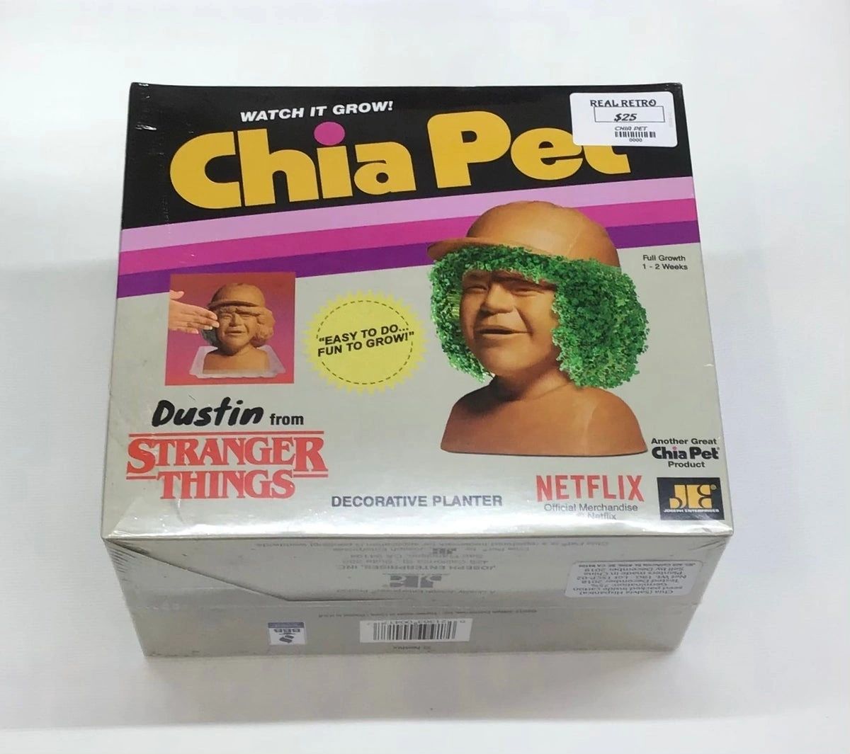 Stranger Things Chia Pet