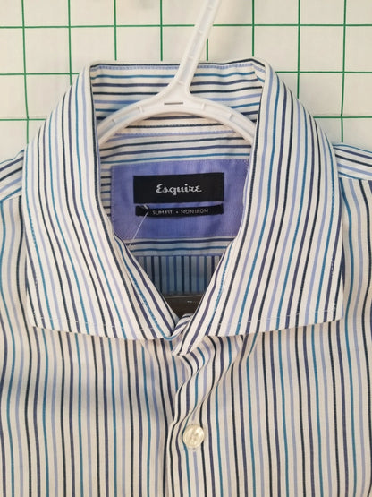 Esquire Slim Fit Striped Button Up Shirt