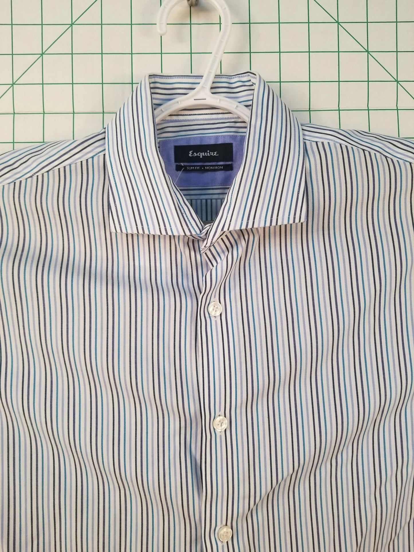 Esquire Slim Fit Striped Button Up Shirt