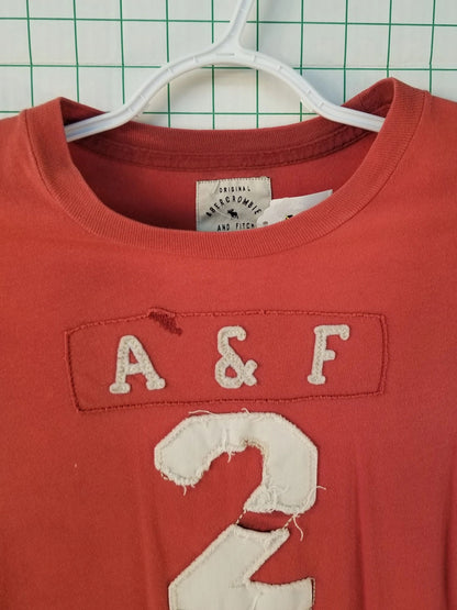 Abercrombie and Fitch Embroidered Tee Sm