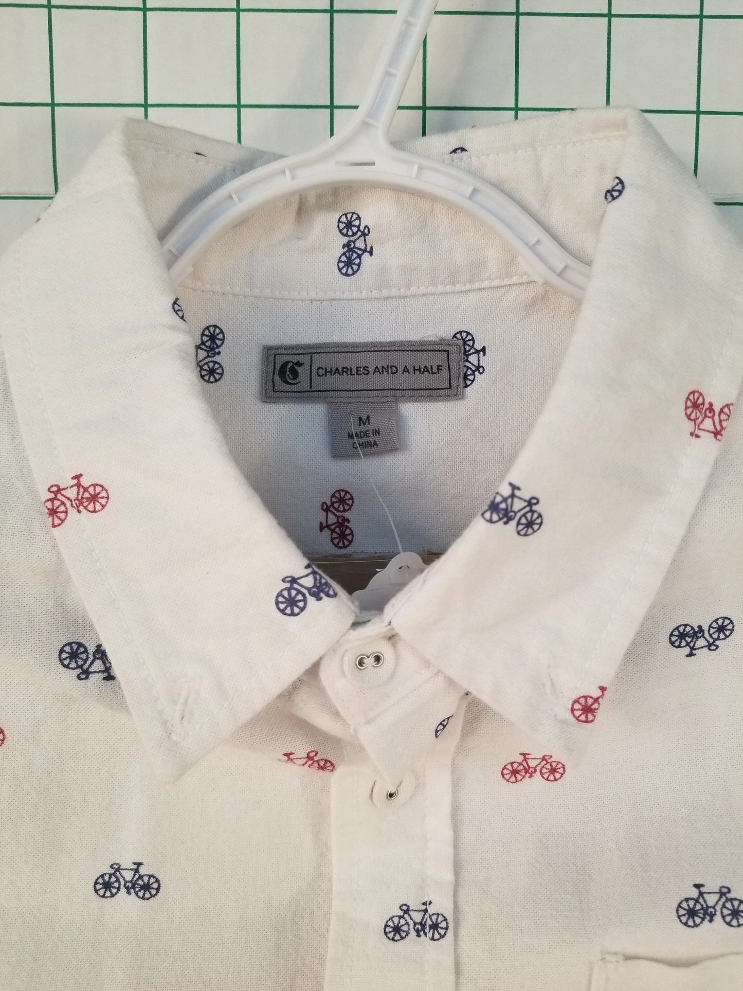 Charles and a Half Embroidered Button Down