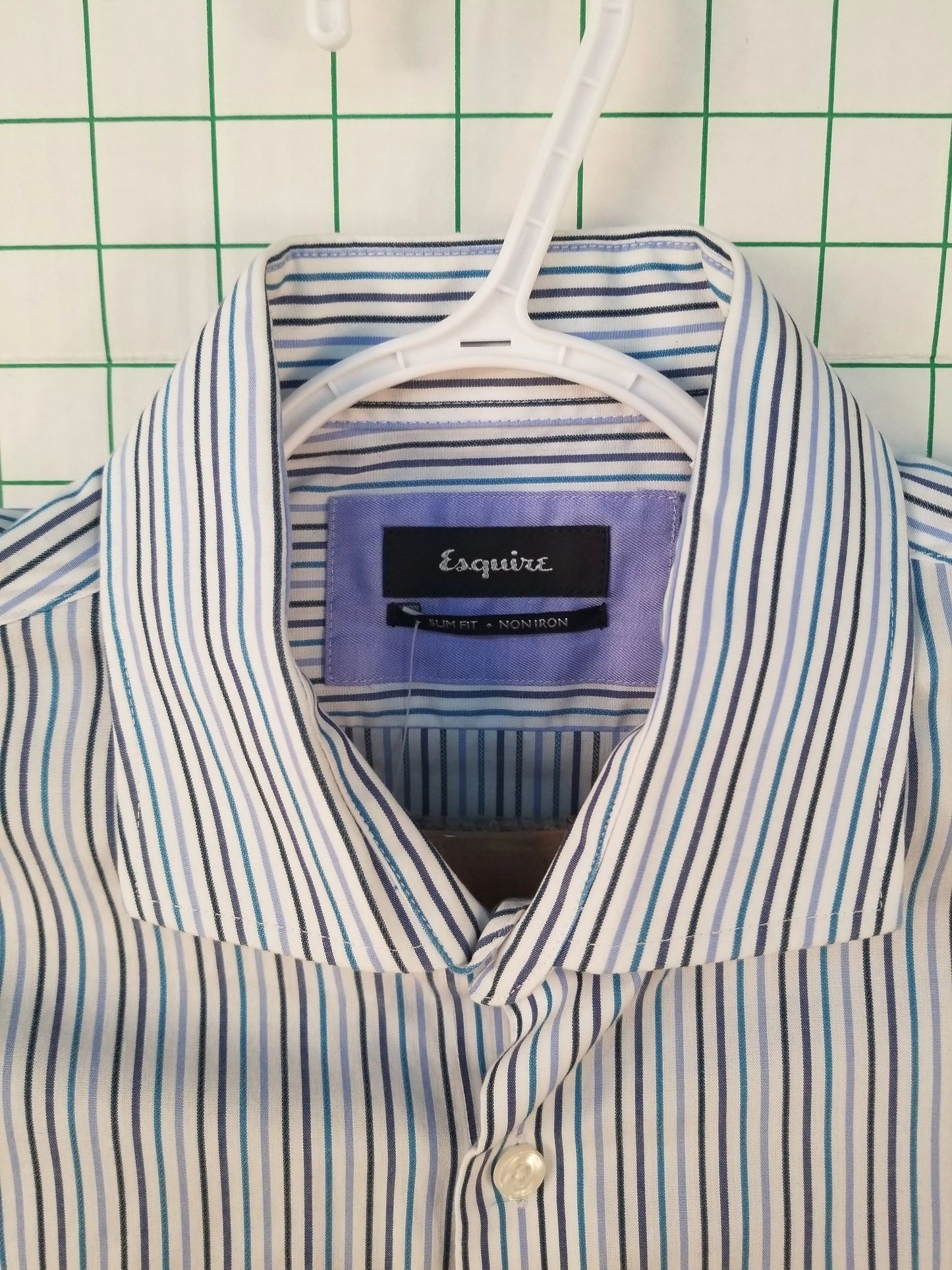 Esquire Slim Fit Striped Button Up Shirt