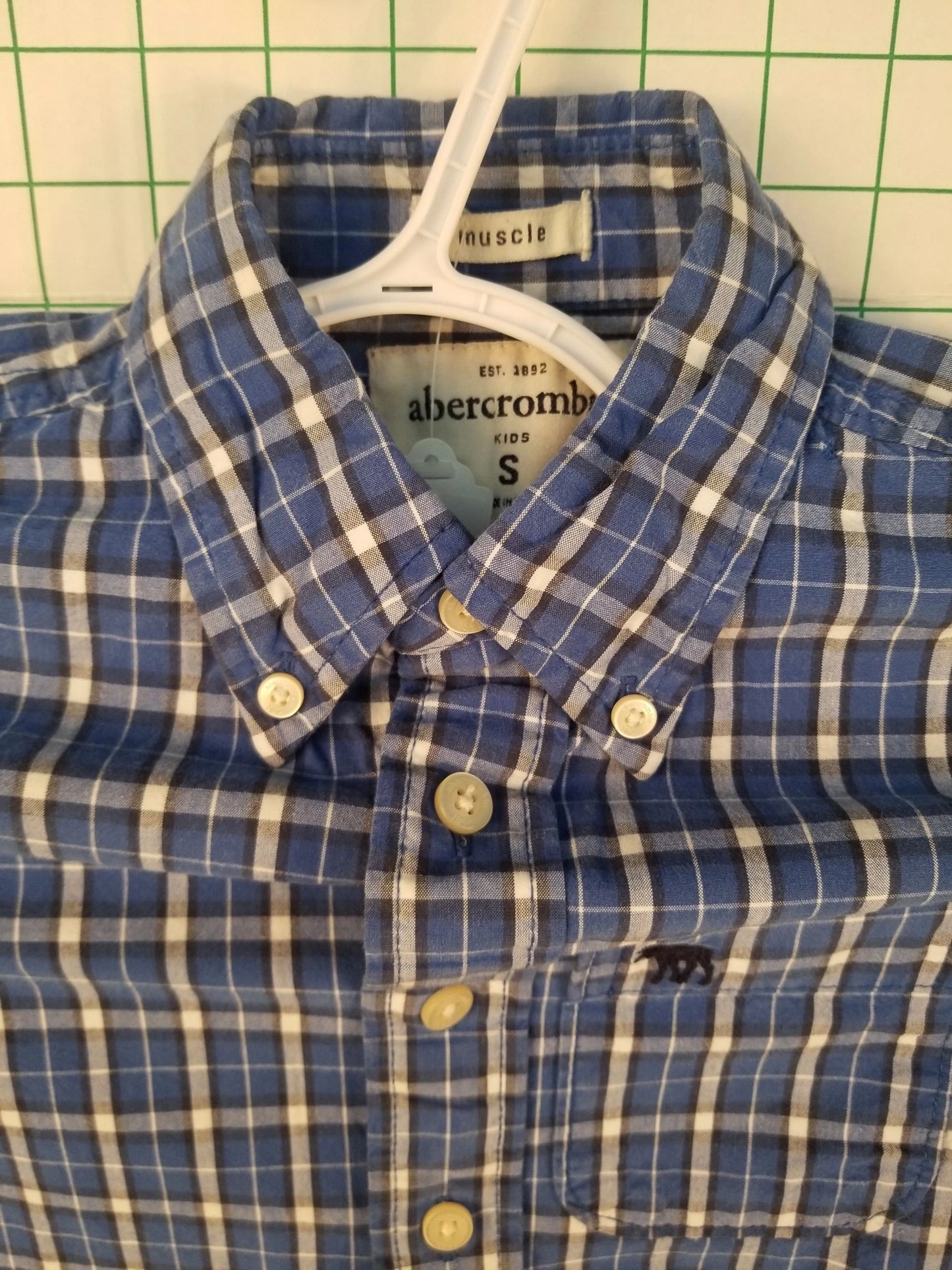 Abercrombie Kids Plaid Button Down