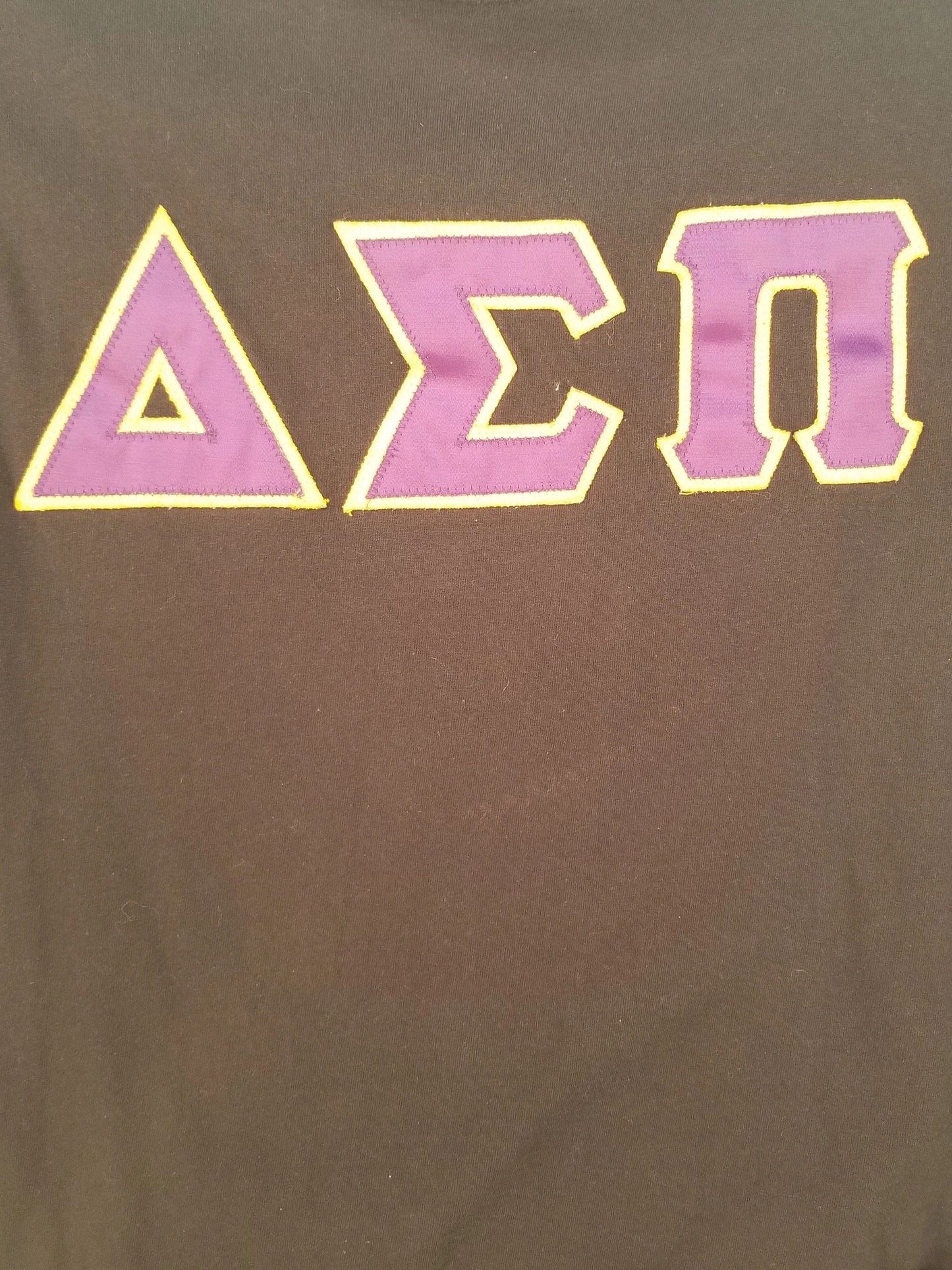 Delta Sigma Pi Graphic Tee Small