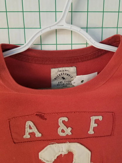 Abercrombie and Fitch Embroidered Tee Sm