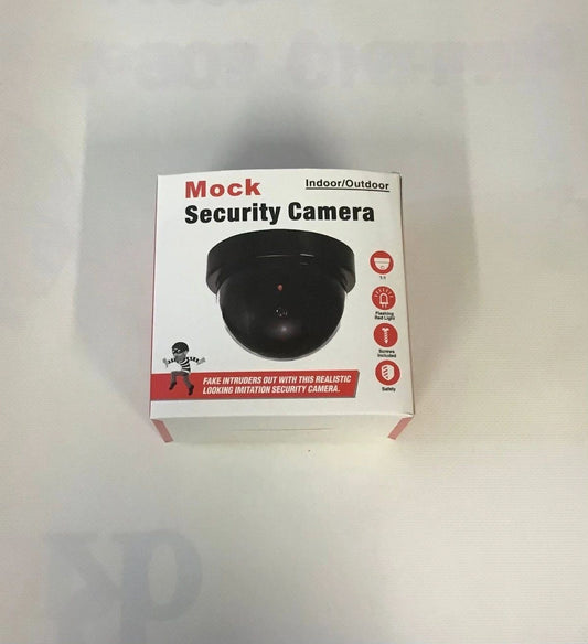 Mock Security Camera