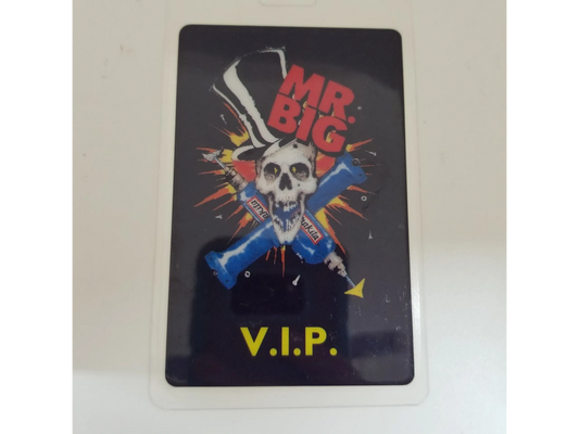 Mr. Big Backstage Pass